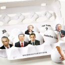 홀리브라운