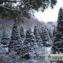 부림농장 이미지