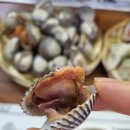 효령로33길1-19 | 대구 봉덕동 맛집 바다갈매기 횟집 신선함 남다른 모듬회와 아나고 세꼬시 찐후기