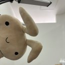 맛.보이소 | 25년 6월 상반기: 오이소 ! 보이소 ! 사이소 !