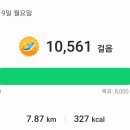 라이바짬뽕