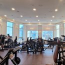 종로-종로-종로-종-100 | 종로헬스장 프리미엄 환경부터 합리적인 가격까지, 정착할 곳 여기다!