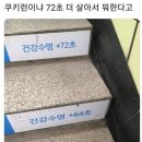 인생 쿠키런 72초 더 살사람 이미지