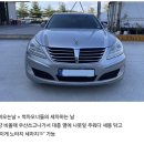 5월의 워홀러 일상 (12살에 카푸어가 된 키라 / 브리즈번 차량 구매대행 / 알리 차량용품 구매 / 호주...