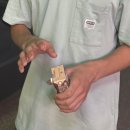 장보는 강아지와 고양이 의정부서부점 | 핫 썸머 오 핫핰 썸마ㅏ아아악!