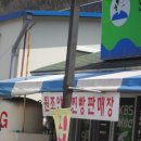 신토불이약초·채소