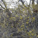 잿머리 성황당 이미지