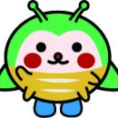 따오기품은 세진마을 이미지