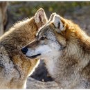 완주군립 중앙도서관 이미지