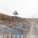 삼호읍사무소 이미지