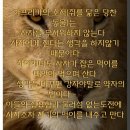 노른자공인중개사사무소 이미지