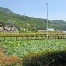 영송농장 | 양주 장흥 일영리 (천생연분마을) 노고산 캠핑장