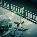 곤명생태학습장 이미지