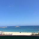 털보민박 이미지