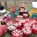 김동진농장 이미지