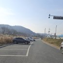 독천로 | 영암 독천낙지거리 맛집 벚꽃낙지 솔직 후기