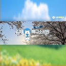 백구소공원 | 김제 벚꽃 명소 백구소공원 꽃놀이 후기