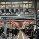 몰리짐 장기점 이미지