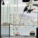 (주)송도해상케이블카 | 부산 송도 해상 케이블카 후기 3가지, 크리스탈 vs 일반 선택 기준과 가격 차이