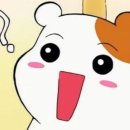 꿀꿀이PC 이미지