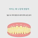 강북가이드치과의원 네이버블로그