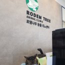 로뎀나무 동물의료센터 네이버블로그