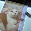 여우비그림공방 | 신정동 성인취미미술 여우비그림공방 원데이클래스 후기(반려동물 초상화)