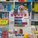 소하약국 이미지