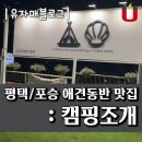 포승서로 | 애견동반 평택 포승 맛집 : 캠핑조개