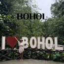 아이메이드안경컨택트 | 필리핀 보홀 여행 육상투어 솔직 후기, 초콜릿힐 안경원숭이 리얼 코스