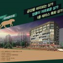 시청앞당구장 이미지