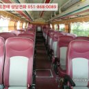 하단동1151 이미지