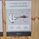 청춘보청기 이미지