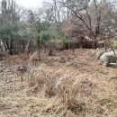 옥천면보건지소 이미지