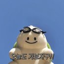육회포장