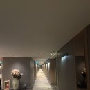 호텔대구 | [대구 호텔] 호텔인터불고 대구 - 내돈내산 후기