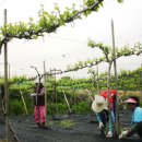 반딧불마을 이미지