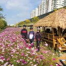 명태덕장 이미지