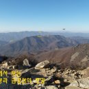 박달나무쉼터 옆 이미지