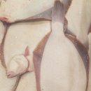 전북상회 이미지