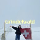 [🇨🇭 스위스 Ep.3] 그린델발트｜내돈내산 샬레 추천, 융프라우요흐 가는법, 피르스트 루지 마운틴카트 후기