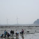 풍력발전기와 누에섬 배경 갯벌 체험 이미지