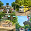 은하어린이공원 | 과천 서울랜드 서울대공원 동물원 리프트 코끼리열차 놀이기구 둘레길