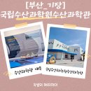 해양수산 과학원 ~ 어성교 | [부산아이와가볼만한곳]국립수산과학원 수산과학관 방문후기