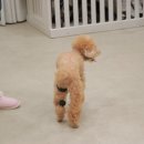 편한보조기 이미지