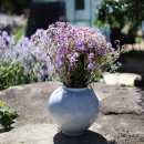 2차평일]2025년9월25(목)보랏빛 문경의 신상 숨은명소 &#34;오팜스&#34;와 봉천사!! 문경새재 드라마세트장!! 이미지