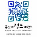 정도태권도체육관 이미지