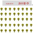 나의과수원 이미지