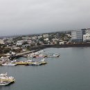 위미1리 이미지