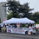 사름 이미지